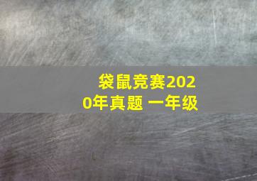 袋鼠竞赛2020年真题 一年级